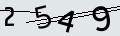 verifycode